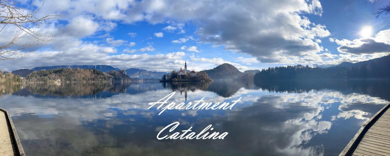 Catalina Lesce-Bled Διαμέρισμα Lesce  Εξωτερικό φωτογραφία